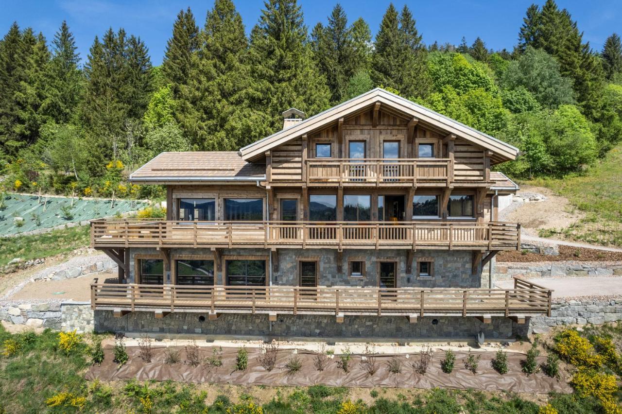 Villa Aigle des Neiges 5 étoiles Gérardmer Esterno foto