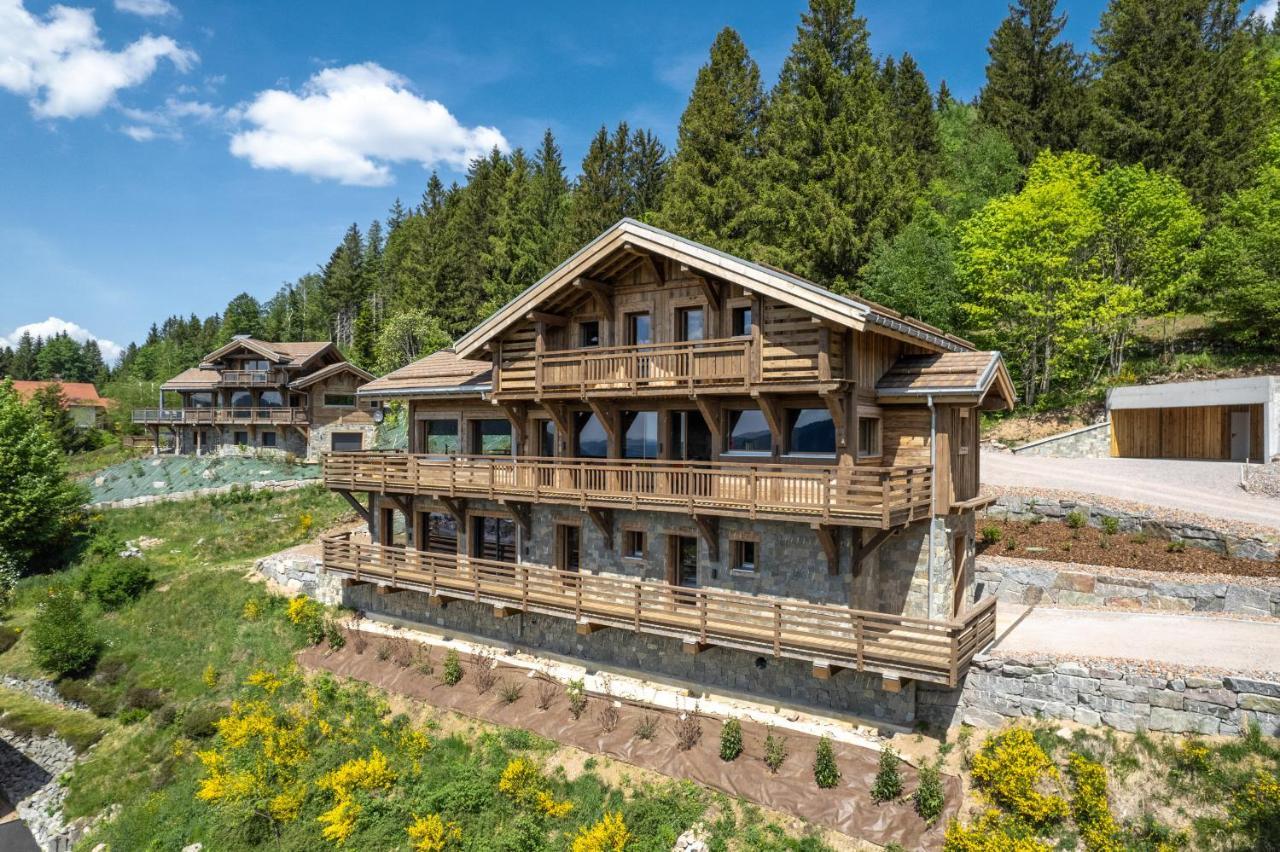 Villa Aigle des Neiges 5 étoiles Gérardmer Esterno foto